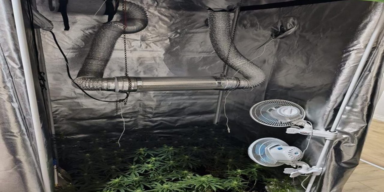 Bursa'da uyuşturucu düzeneği ele geçirildi: 1 gözaltı