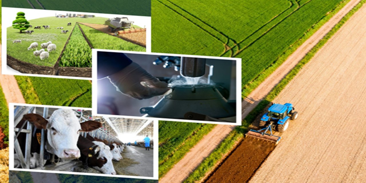 Tarımsal destek ödemeleri hesaplara yatıyor