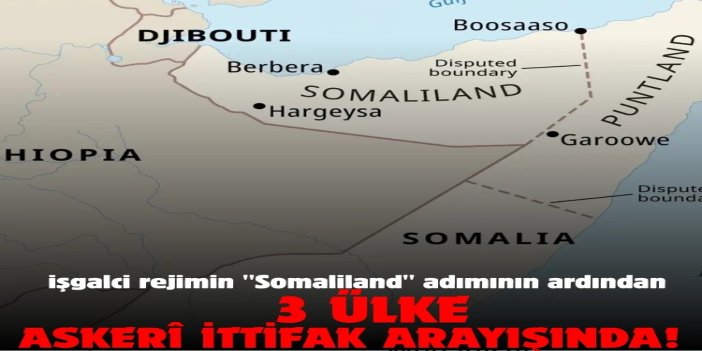 Suudi, Mısır ve Somali işgalci rejimin "Somaliland" adımının ardından askerî ittifak arayışında