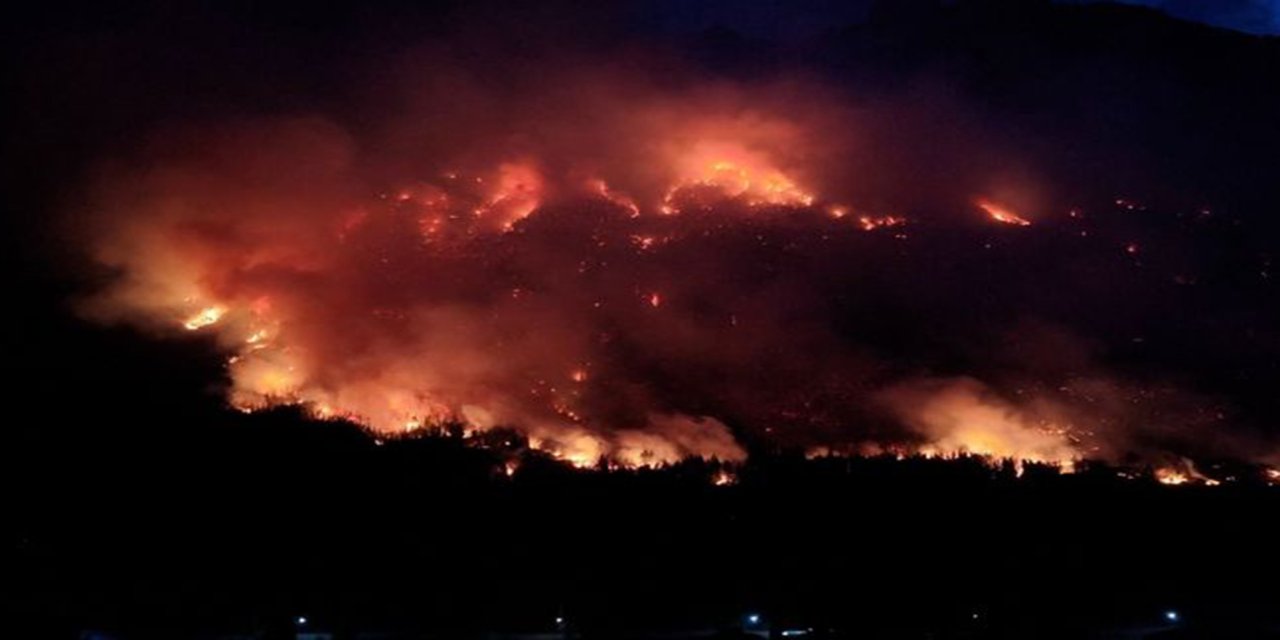 Patagonya'daki yangınlarda  12 bin hektarlık alan küle döndü