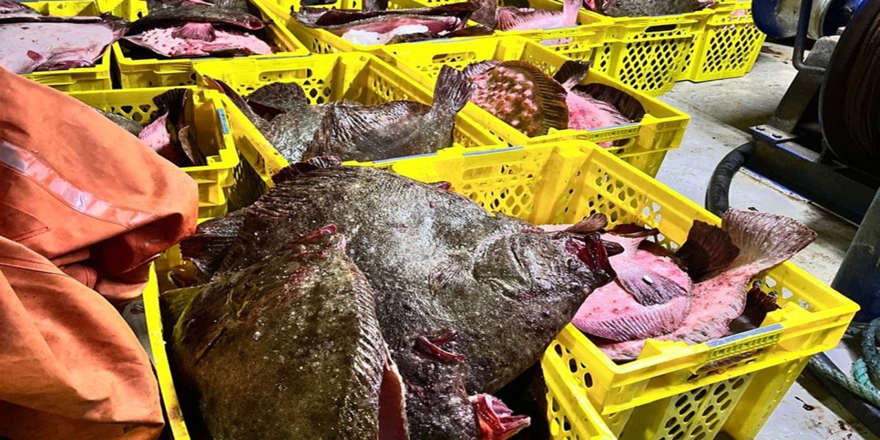 İstanbul'da yasak avlanan tekneye ceza