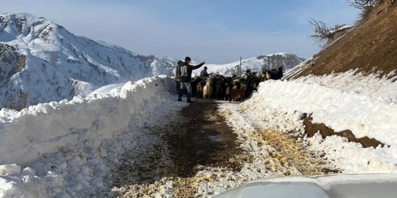 Bingöl Karlıova’da kar yağışı devam ediyor