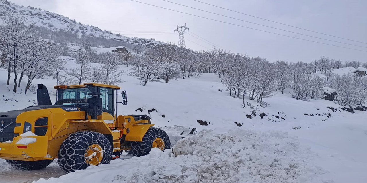 Şırnak'ta kar nedeniyle kapanan yolları açma çalışmaları devam ediyor