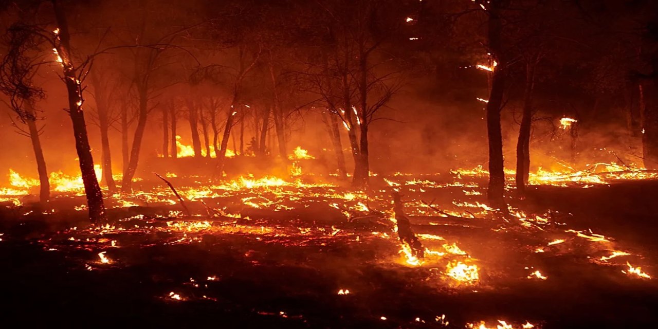Şili'de orman yangınlarında ölü sayısı 19'a yükseldi