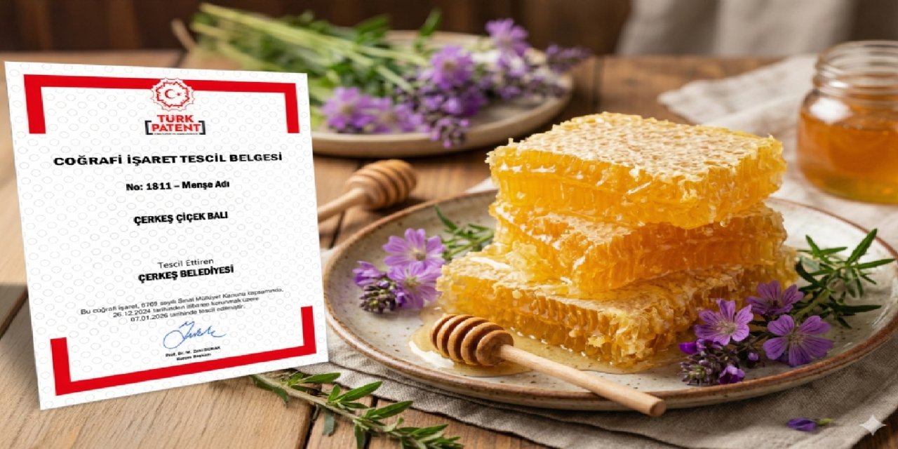 Çerkeş Çiçek Balı coğrafi işaret tescili aldı