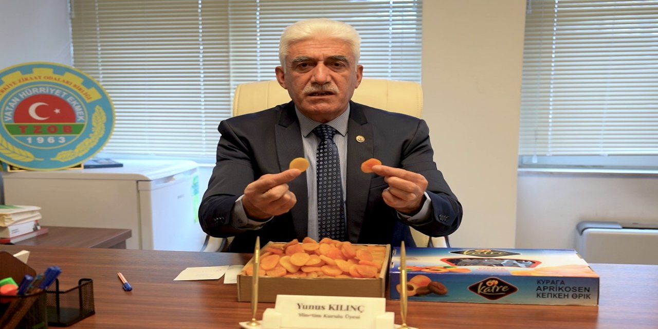 TZOB Yönetim Kurulu Üyesi Kılınç: Kaçak yollarla Türkiye'ye sokulan kayısılar Malatya üreticisini bitiriyor