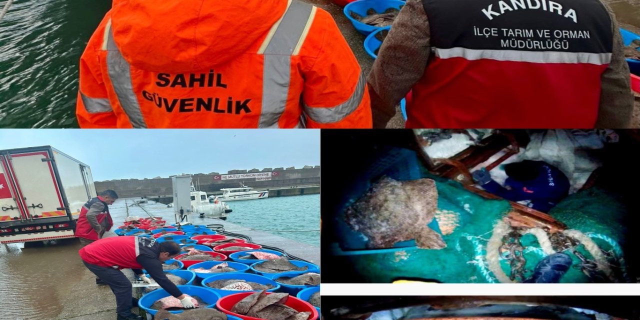 Kocaeli ve İstanbul’da 8 ton 750 kilogram kalkan balığına el konuldu