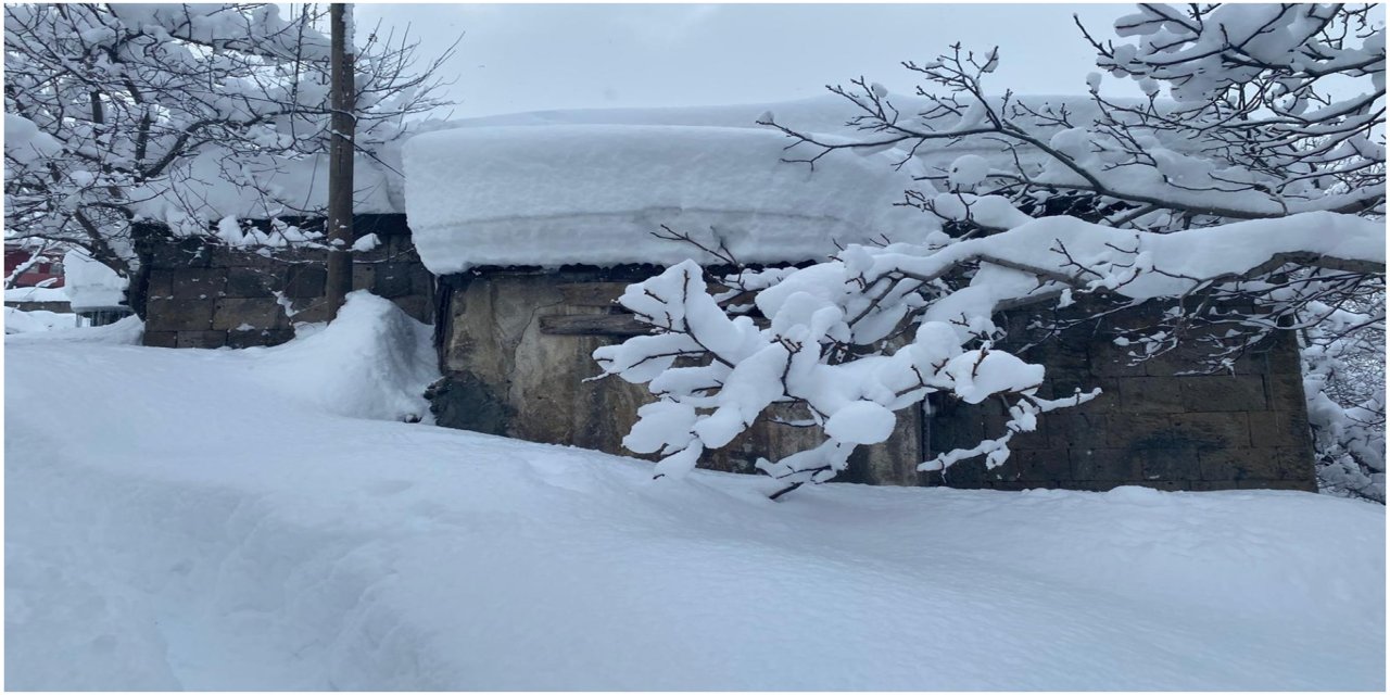 Bitlis’te evler kara gömüldü