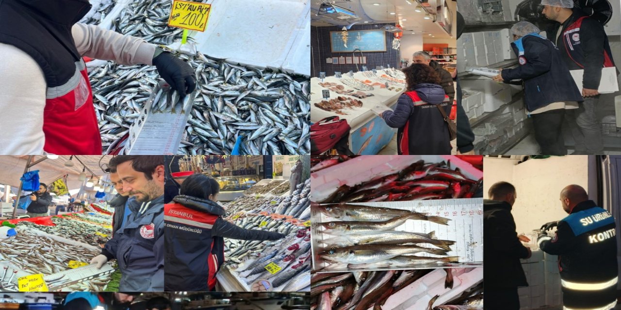 İstanbul’da mevzuata aykırı avlanan 3,5 ton su ürününe el konuldu