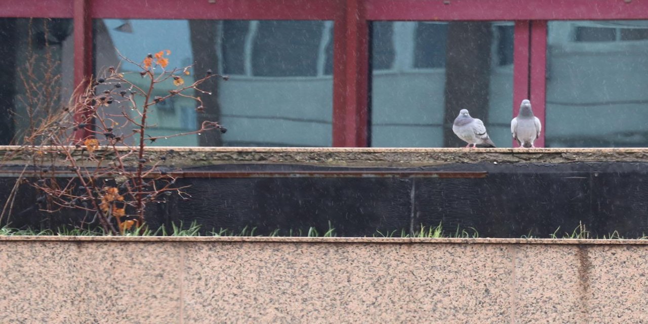 Meteoroloji'den yağmur, kar ve fırtına uyarısı