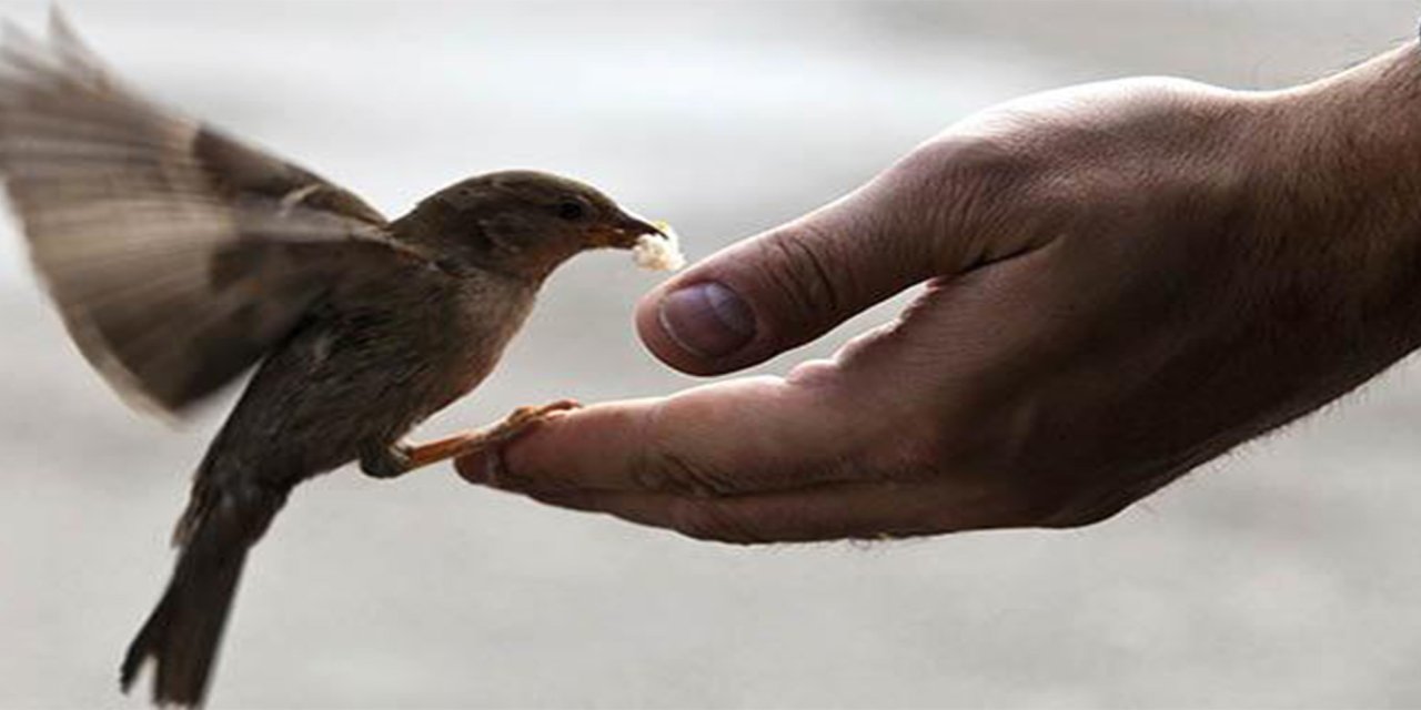 Uzmanlara göre iyiliğin gerçek gücü niyette saklı
