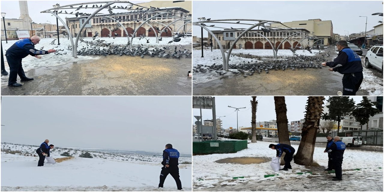 Gaziantep'te sokak hayvanları ve kuşlar için sokak aralarına yem bırakıldı