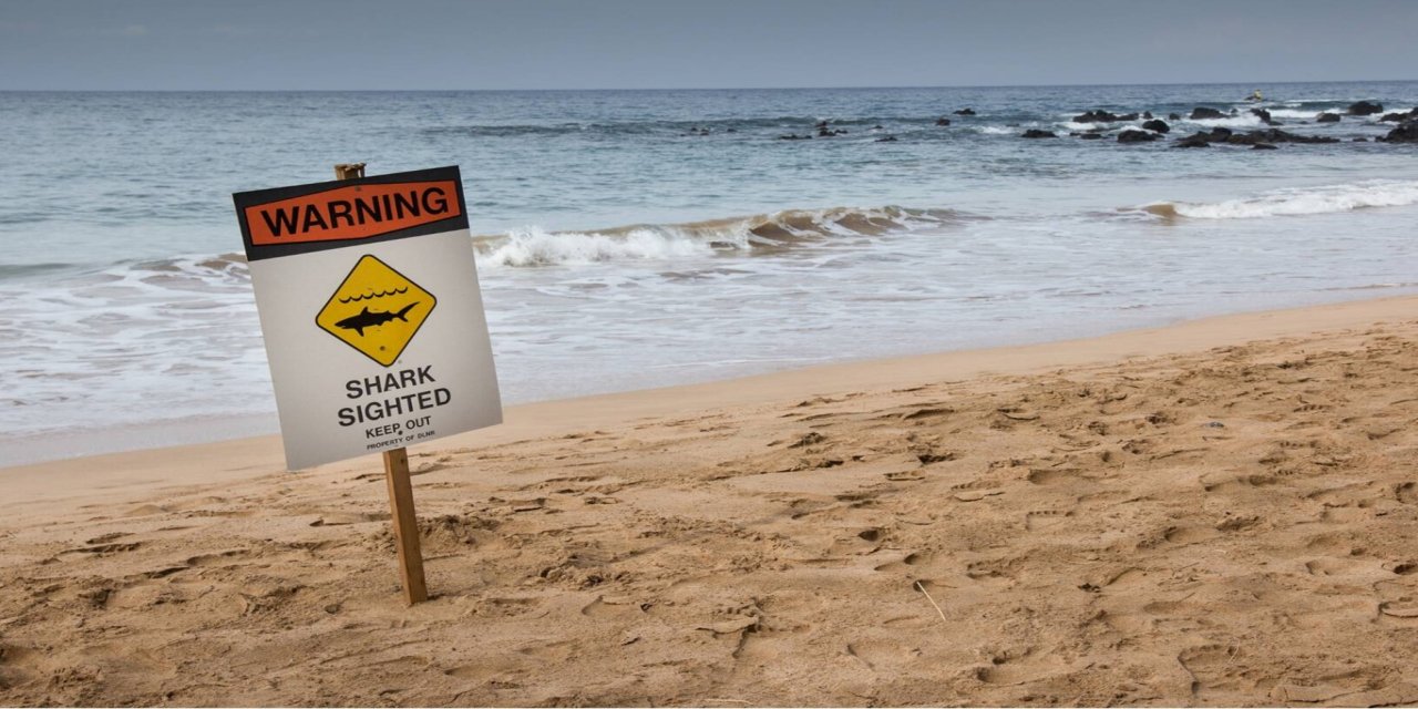 Avustralya'da köpekbalığı saldırıları: Bir ölü 3 yaralı