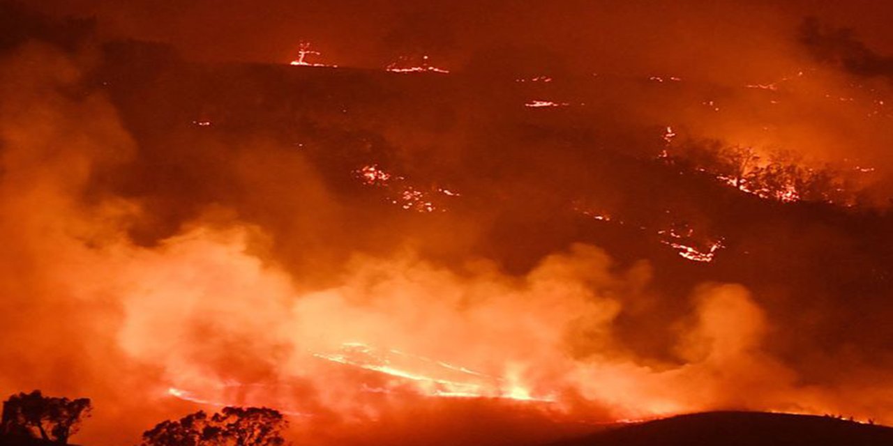 Avustralya orman yangınlarıyla mücadele ediyor