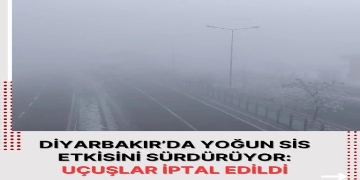 Diyarbakır’da yoğun sis etkisini sürdürüyor: Uçuşlar iptal edildi