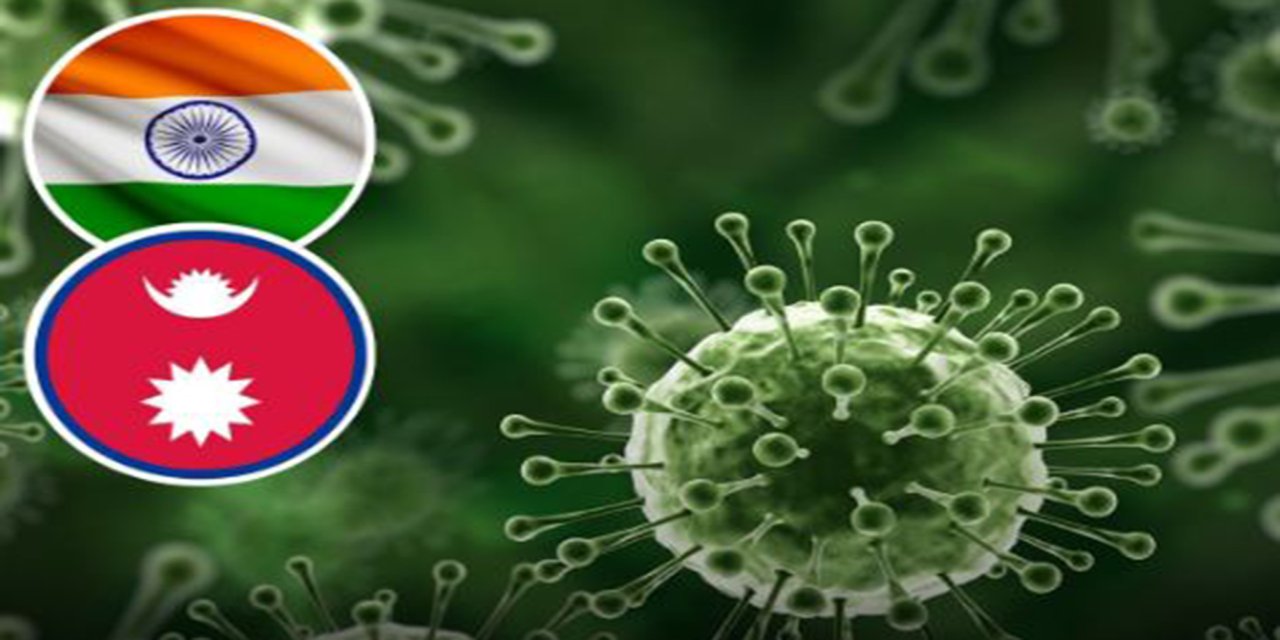 Kazakistan'da Nipah virüsü alarmı