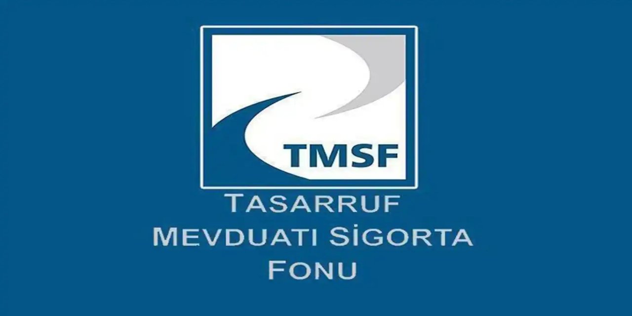 TMSF bir şirketi ihaleyle satışa çıkardı