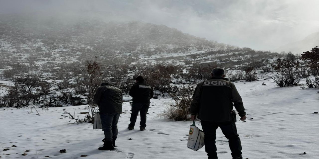 Batman'da yaban hayvanları için yemleme çalışması sürüyor