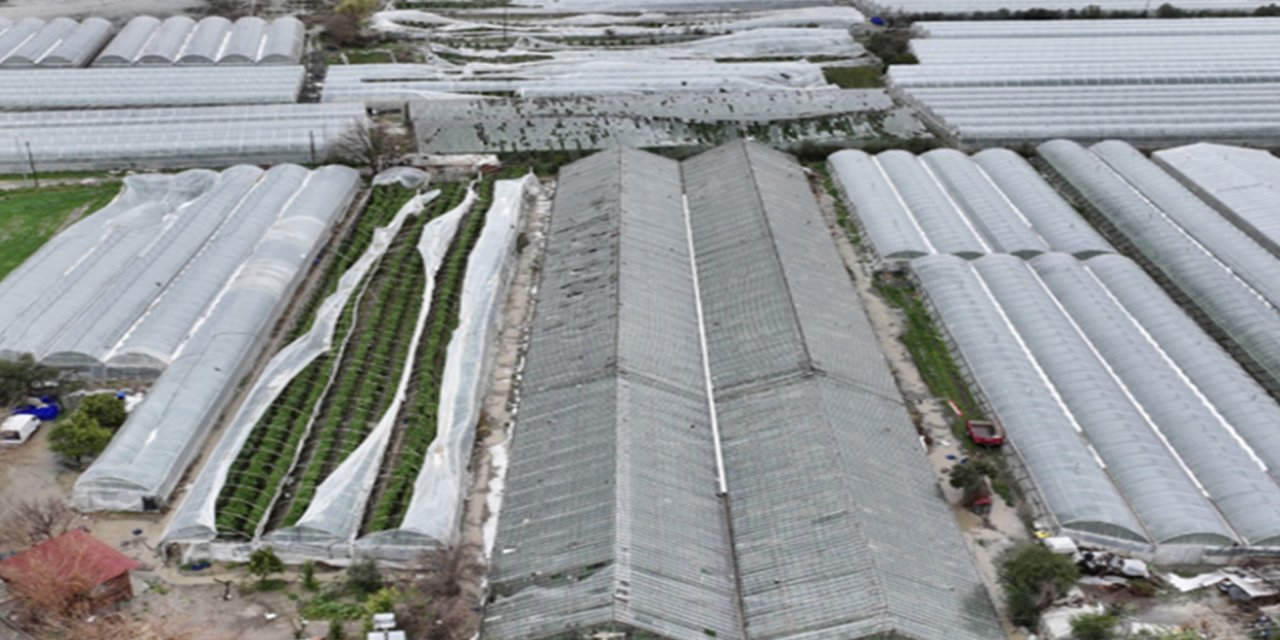 Antalya’da sel ve hortumdan etkilenen üreticiler için hasar tespiti sürüyor