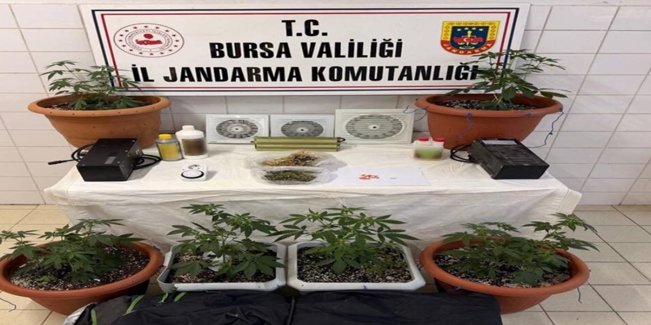 Bursa'da uyuşturucu operasyonu: Bir şüpheli tutuklandı