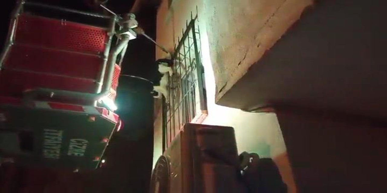 Cizre’de ayağı demir korkuluklara sıkışan kedi için itfaiye seferber oldu