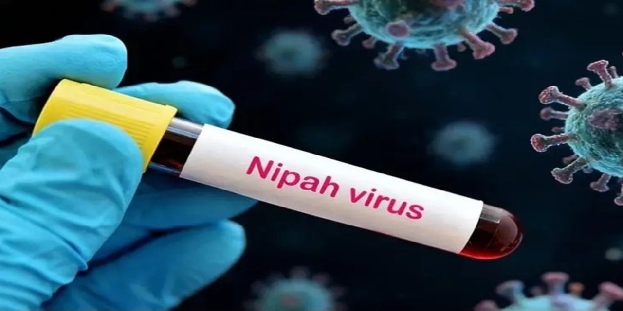 DSÖ: Nipah virüsünün Hindistan dışında yayılma olasılığı düşükü