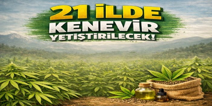 Kenevir üretimine 21 ilde izin