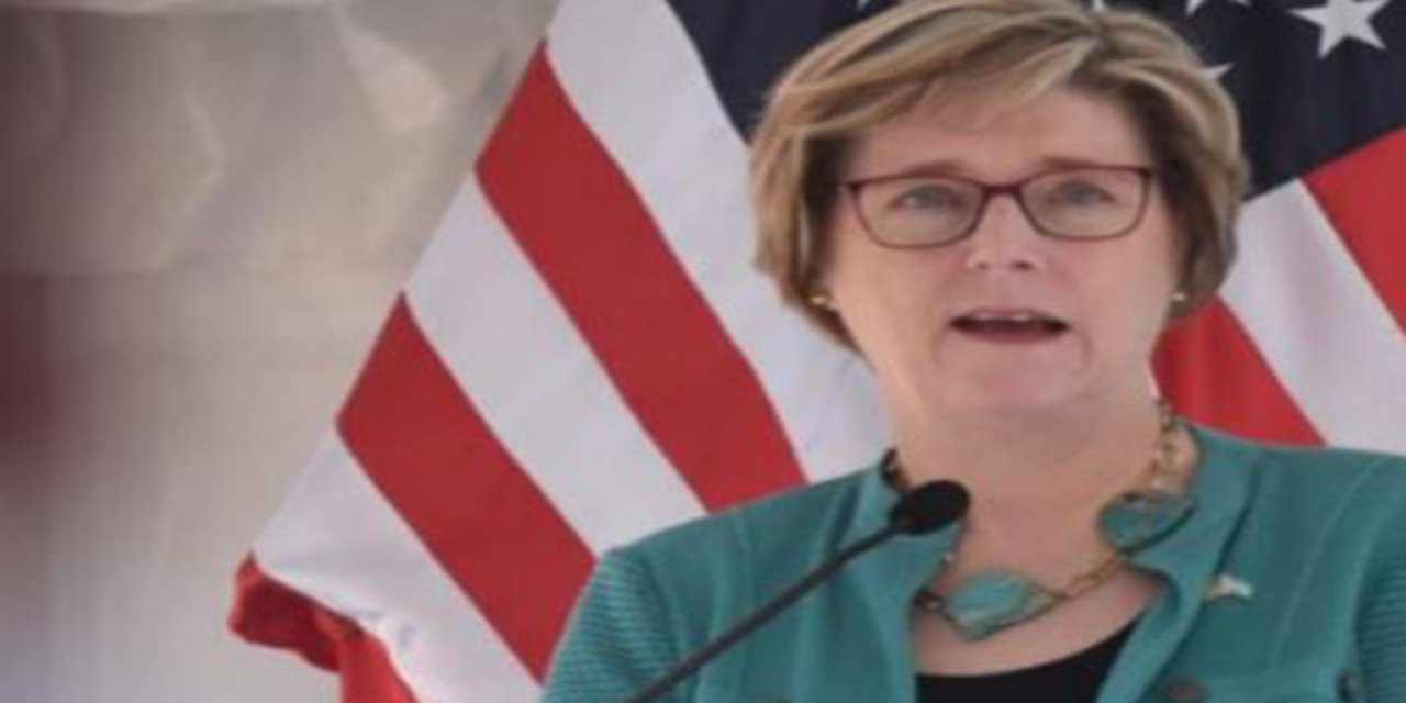 ABD'nin yeni Karakas Büyükelçisi Laura Dogu, Venezuela'da