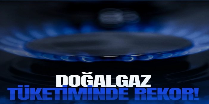 Doğal gaz tüketiminde ocak ayı rekoru kırıldı