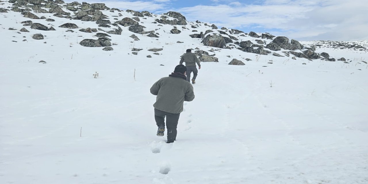 Muş’ta kaçak avcılığa para cezası