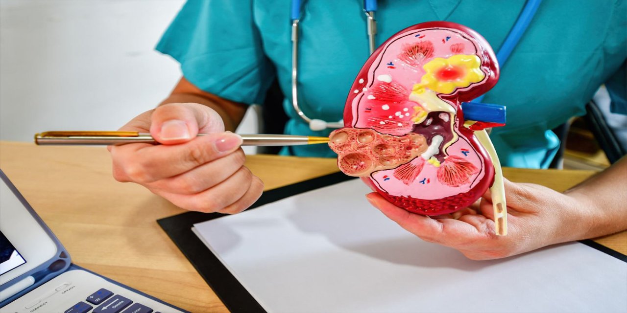 Kadınlar, yaşlılar ve hamileler için uyarı: İdrar yolu enfeksiyonu sessiz ilerleyebiliyor