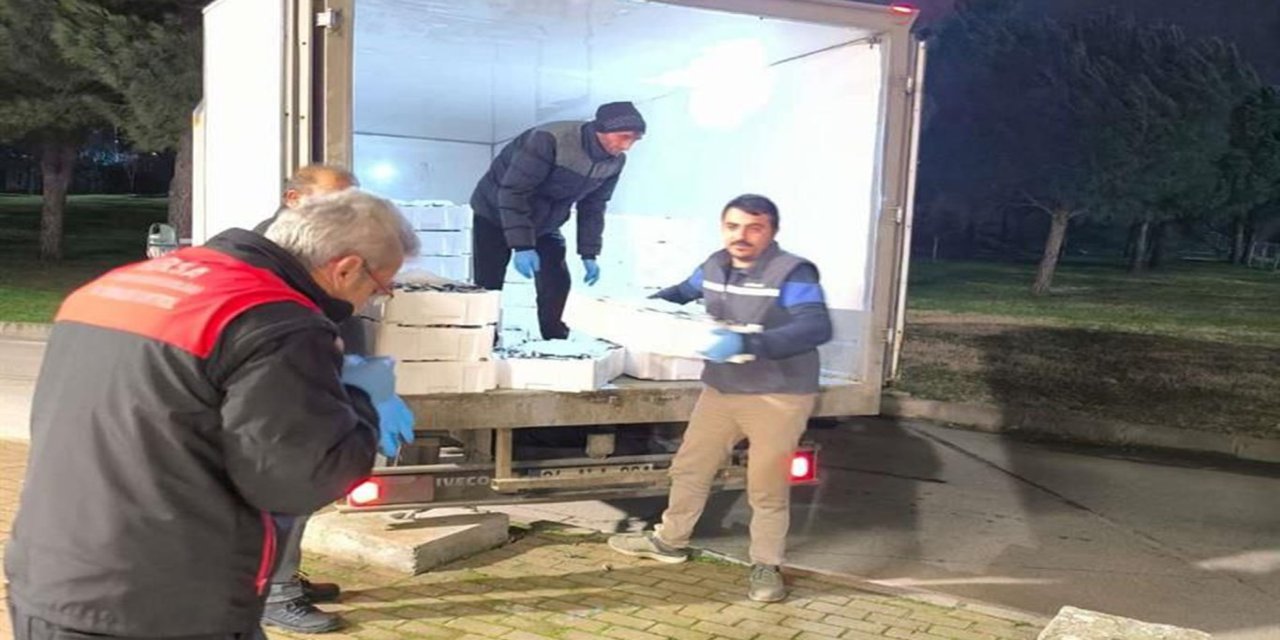 Bursa’da yaklaşık bir ton balığa el konuldu