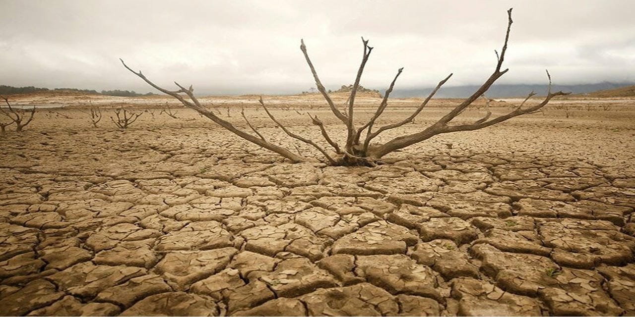 Güney Afrika kuraklığı ve su kıtlığını ulusal afet olarak sınıflandırdı