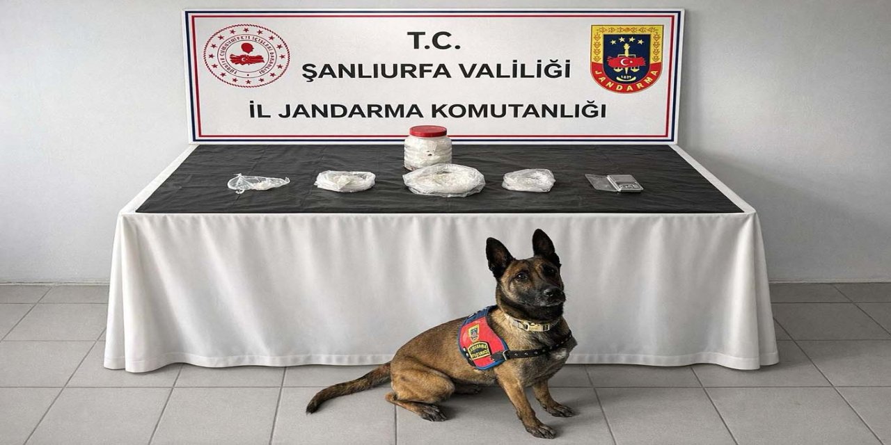 Şanlıurfa’da narkotik operasyonu: 538 gram sentetik uyuşturucu ele geçirildi