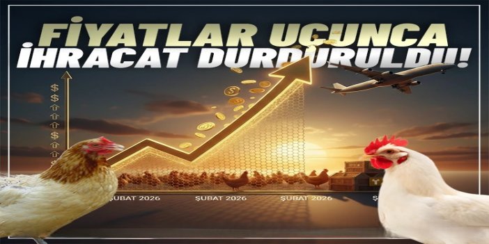 Ticaret Bakanlığı tavuk ihracatını durdurdu