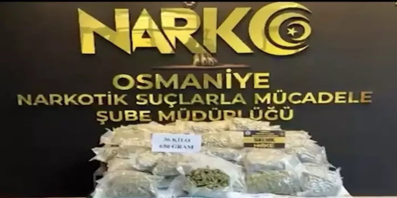 Osmaniye'de 36 kilogram skunk ele geçirildi: 2 tutuklama