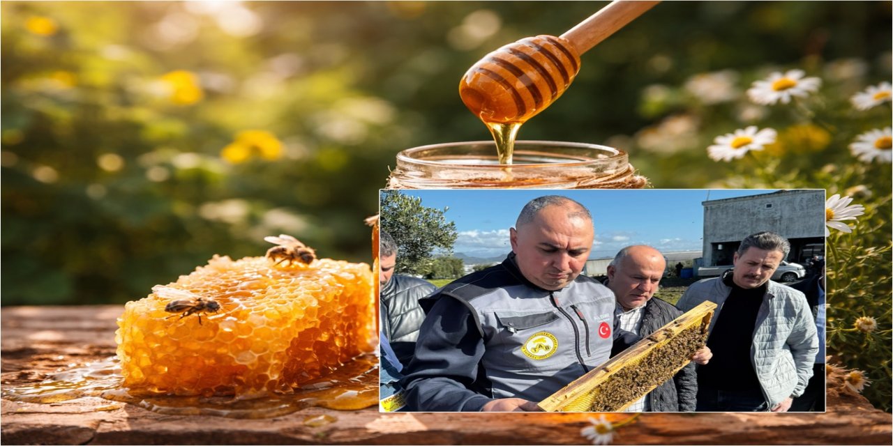 TAB Başkanı Ali Demir: Koloni sayısı azaldı, bal üretimi arttı
