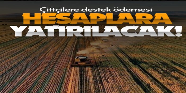 Tarımsal destekleme ödemeleri çiftçilerin hesaplarına aktarılacak