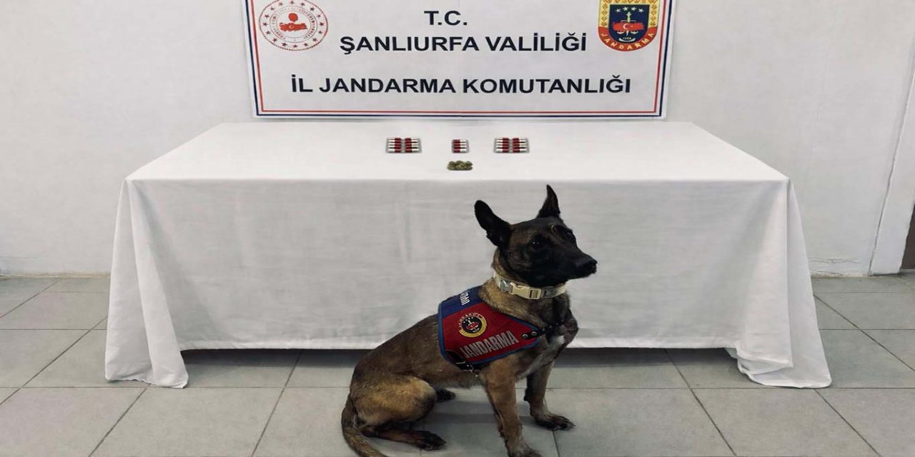 Şanlıurfa’da jandarmadan narkotik uygulamaları: 8 şüpheli hakkında işlem başlatıldı