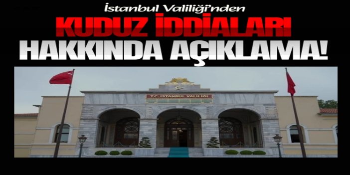 İstanbul Valiliği: "Kuduz vakalarında patlama" iddialarını yalanladı