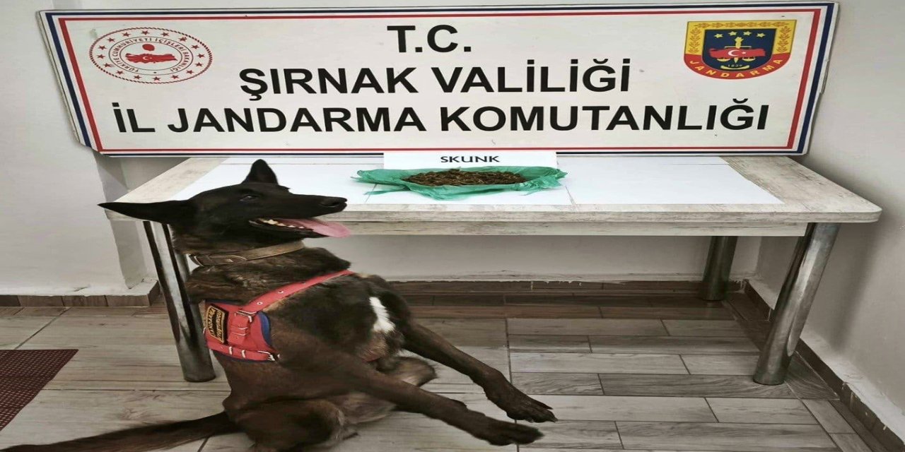 Şırnak asayiş ve kaçakçılık operasyonları: 27 tutuklama