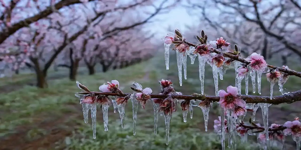 Kahramanmaraş için buzlanma ve zirai don uyarısı