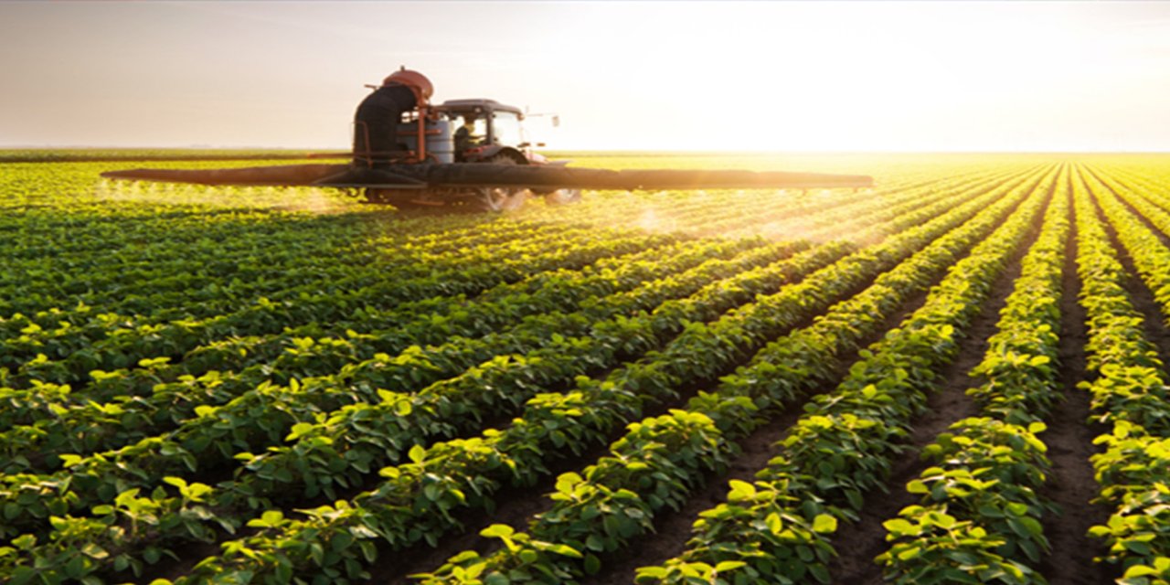 Tarımsal destekleme ödemeleri bugün çiftçilerin hesaplarına aktarılıyor