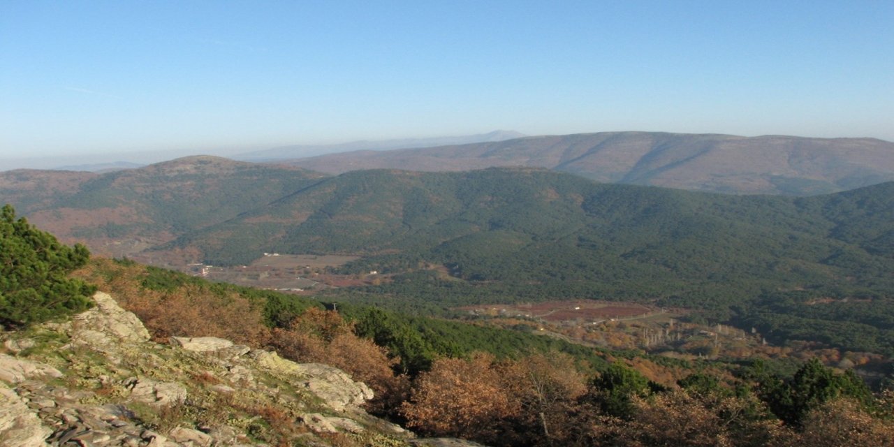 İzmir’de 145 bin metrekarelik alan orman sınırından çıkarıldı