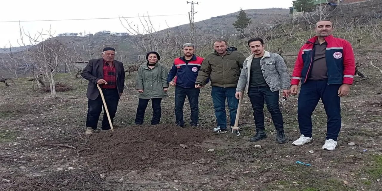 Siirt’te fıstık ağaçları kuruyor, ekipler alarmda