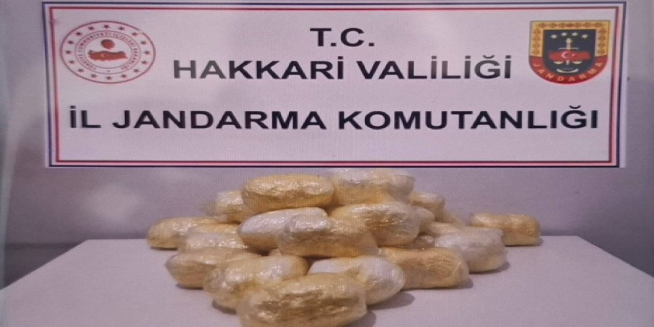 Hakkari’de durdurulan tırda 15 kilo uyuşturucu yakalandı