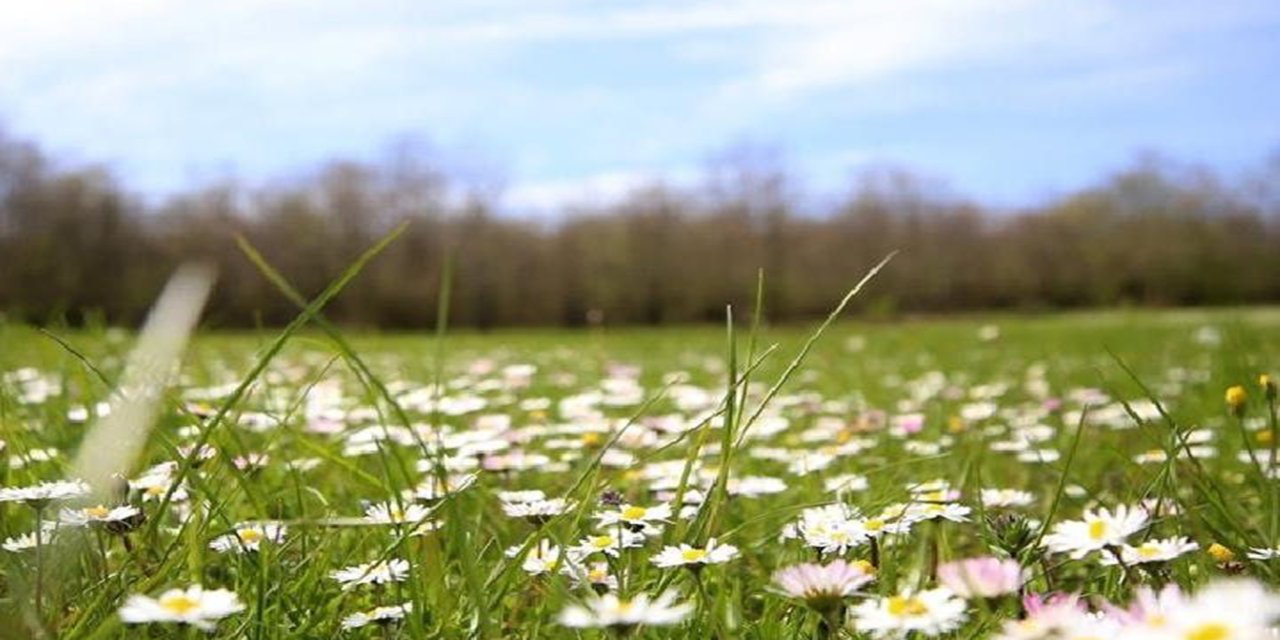 Son cemre toprağa düştü