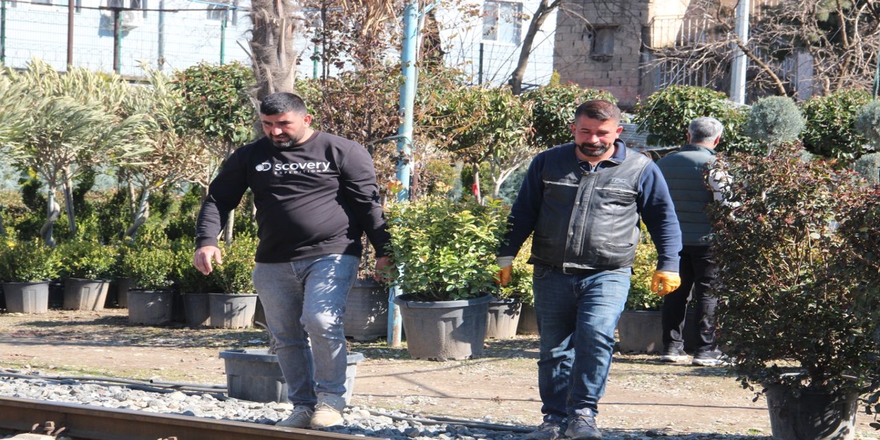 İlkbahar mevsimiyle birlikte meyve fidanı dikim sezonu başladı