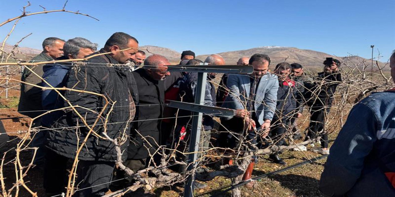 Gercüş bağları için modernizasyon adımı