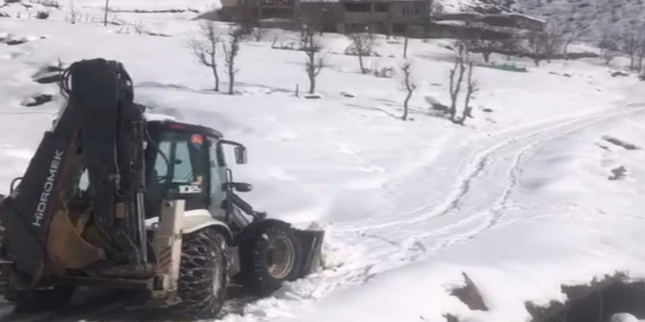 Beytüşşebap'ta kar mesaisi: Kapanan köy yolları açılıyor